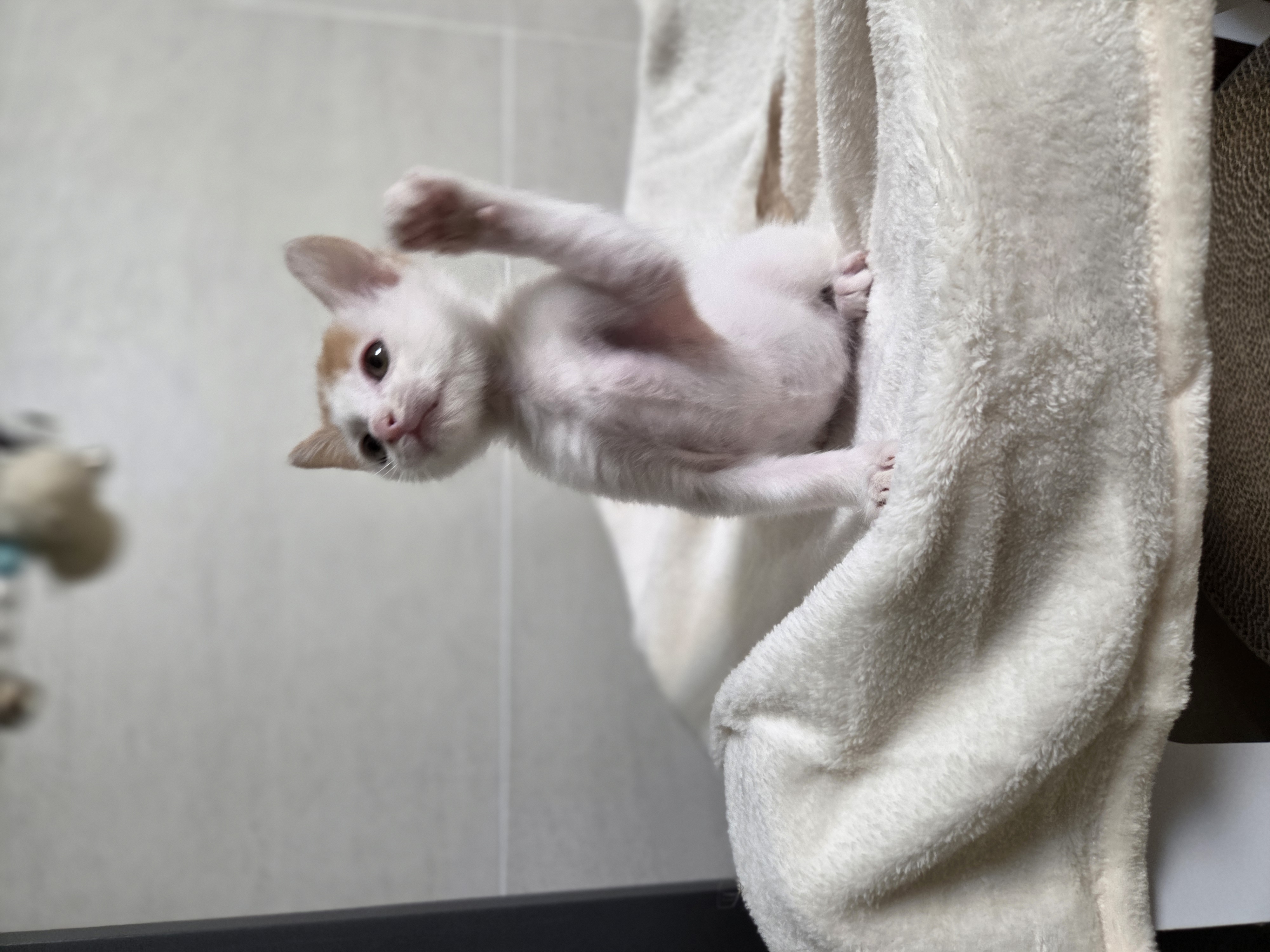 현장 사진 19