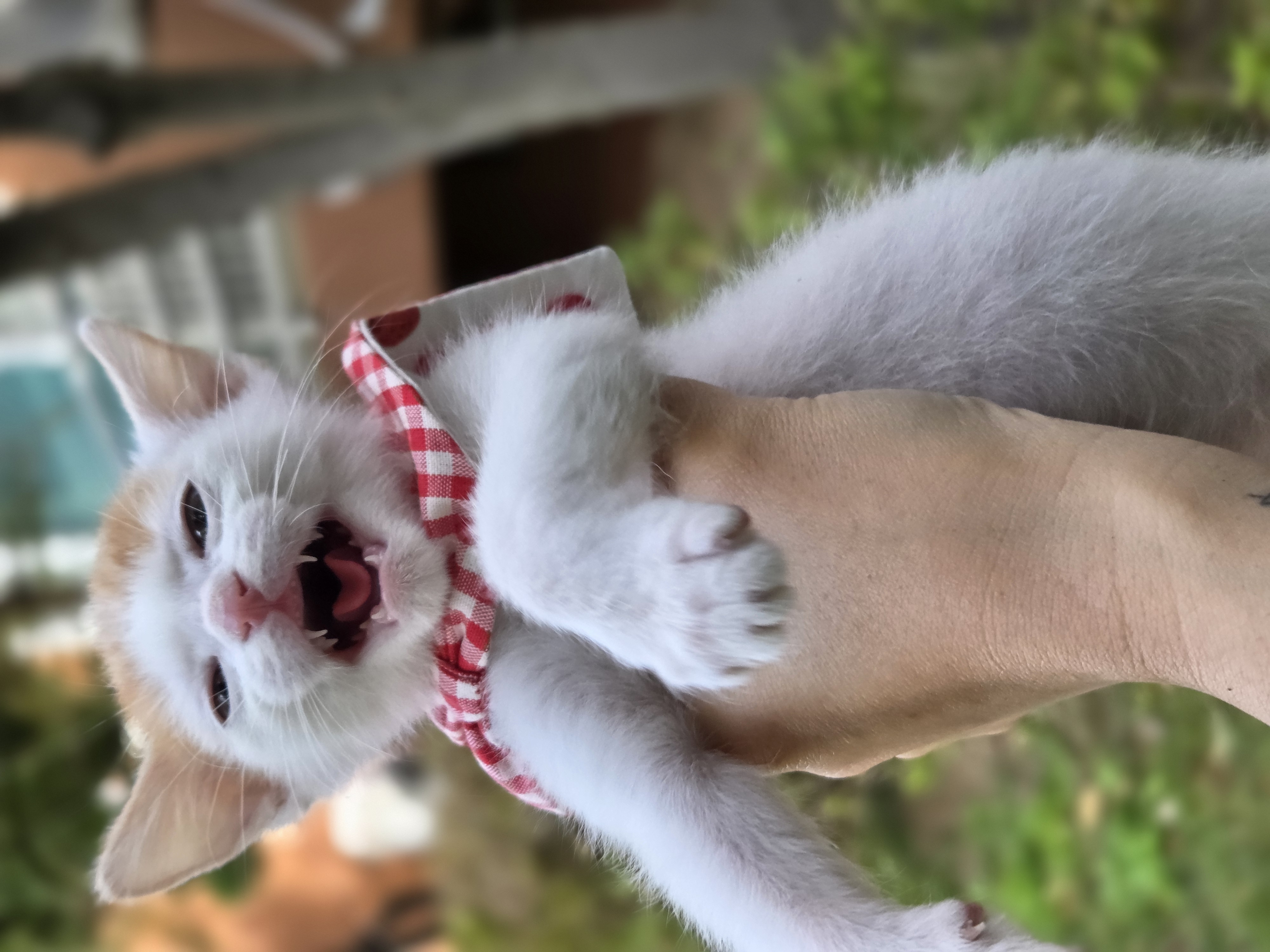 현장 사진 10