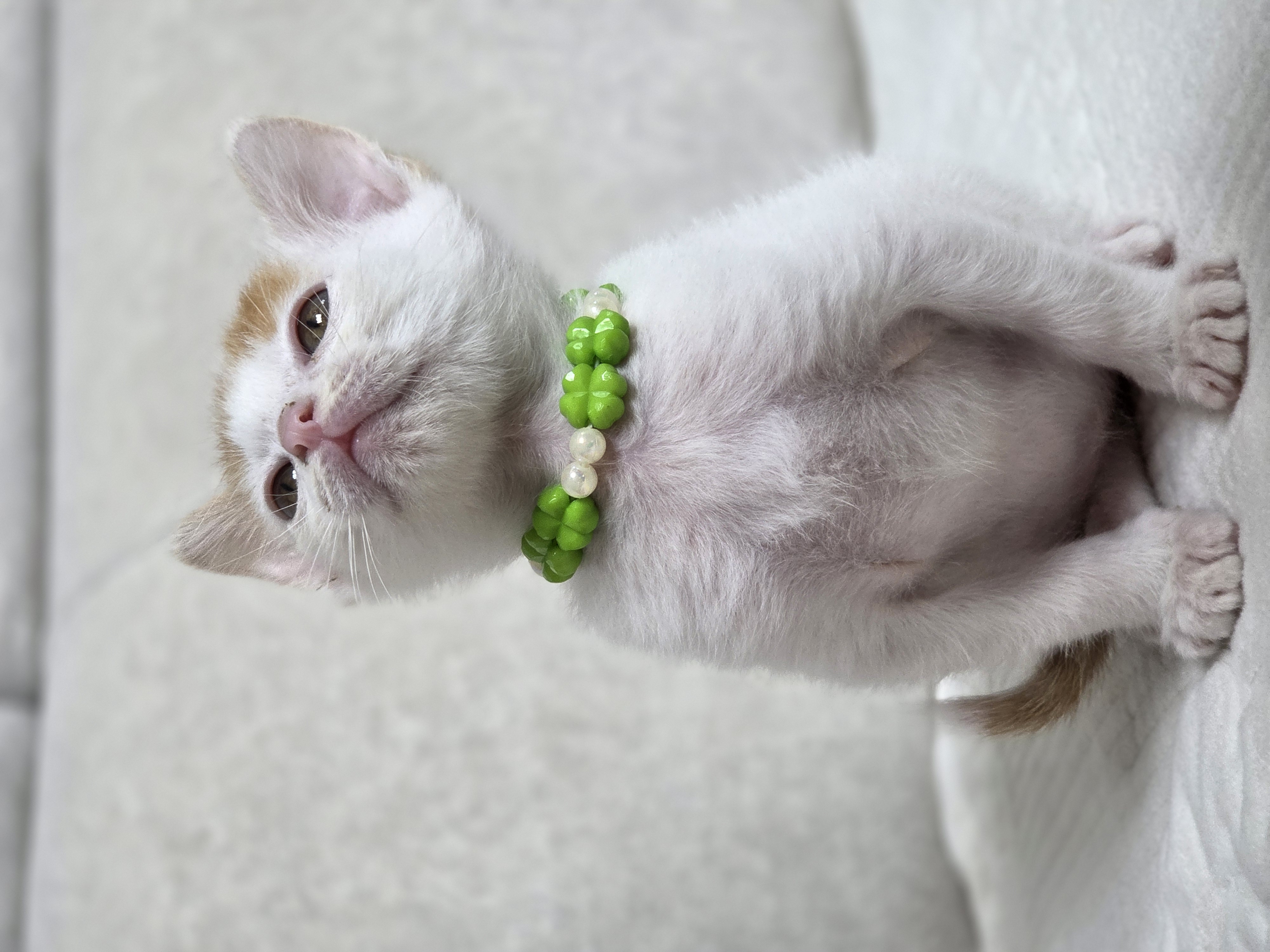 현장 사진 15