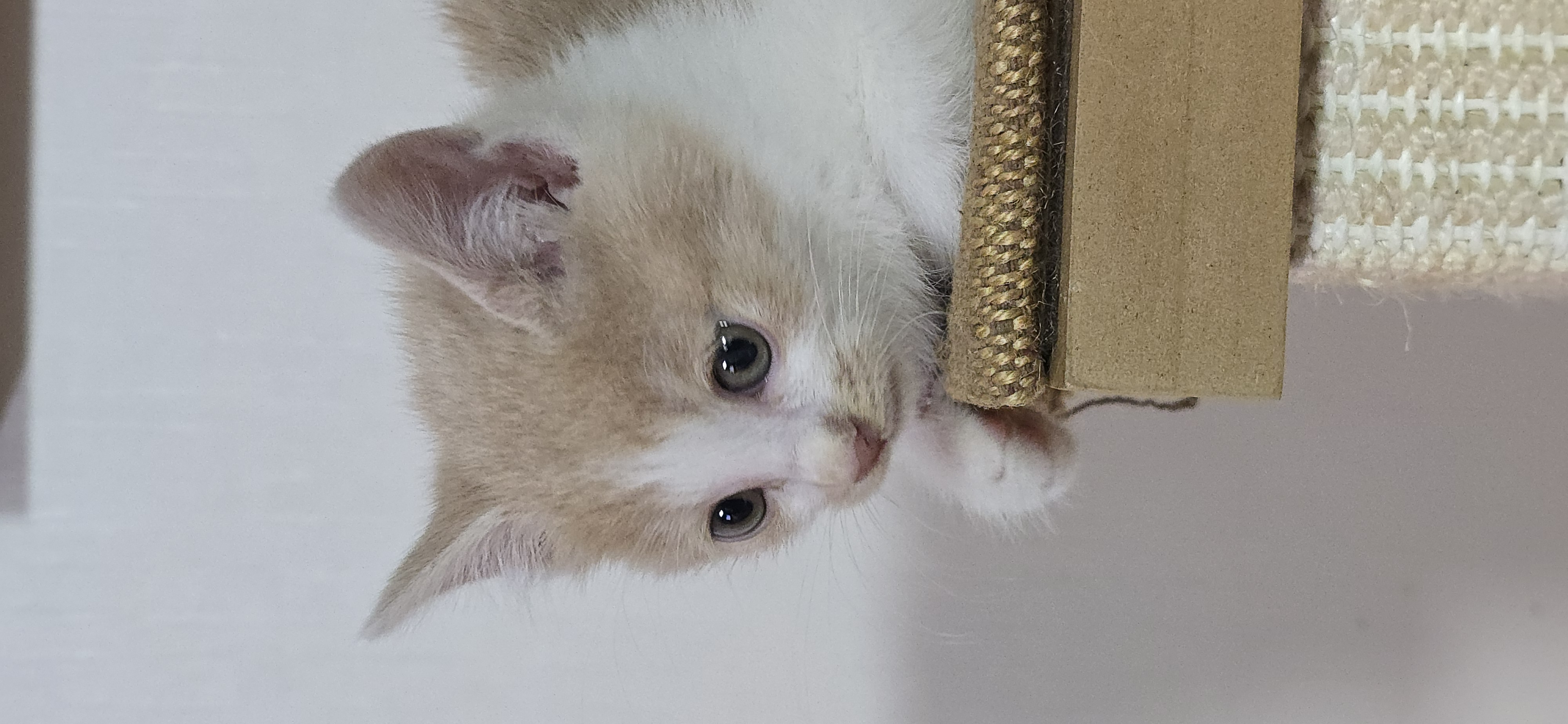 현장 사진 12